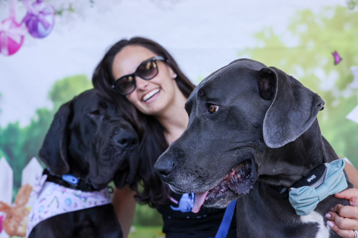 Sofia smiling between two Great Danes at a rescue event