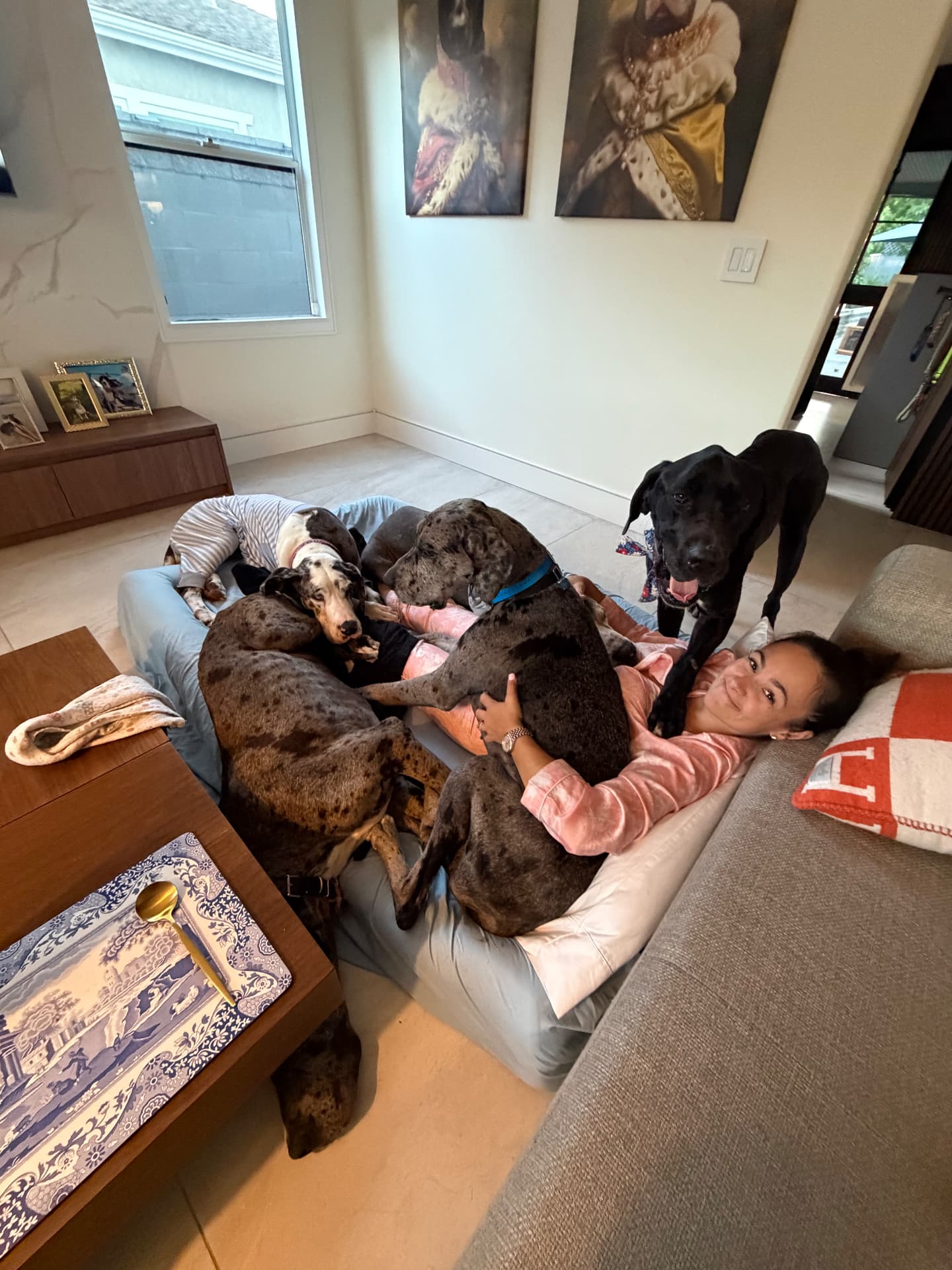 Sofia on a couch surrounded by six Great Danes